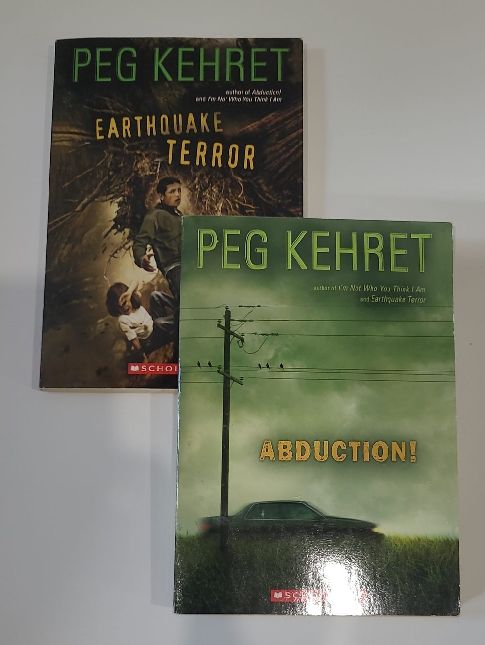Peg Kehret 2 Book Lot